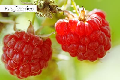LIAG_web_image_September_07