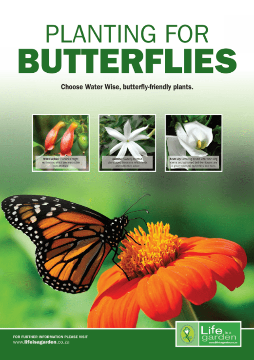 BUTTERFLIES