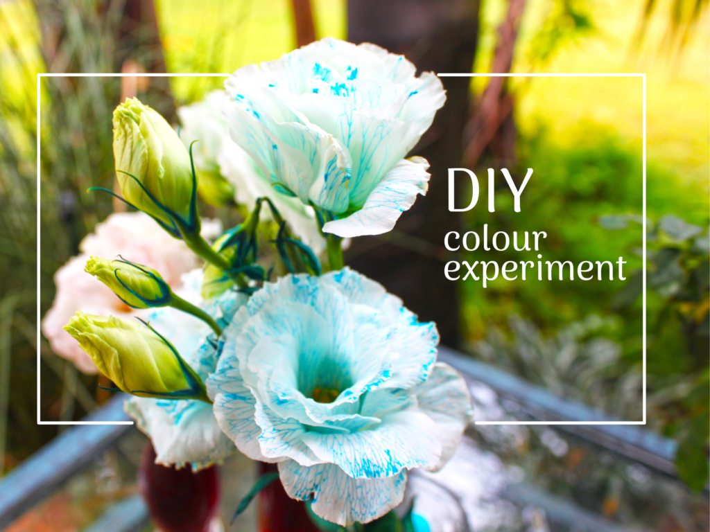 DIY colour experiment