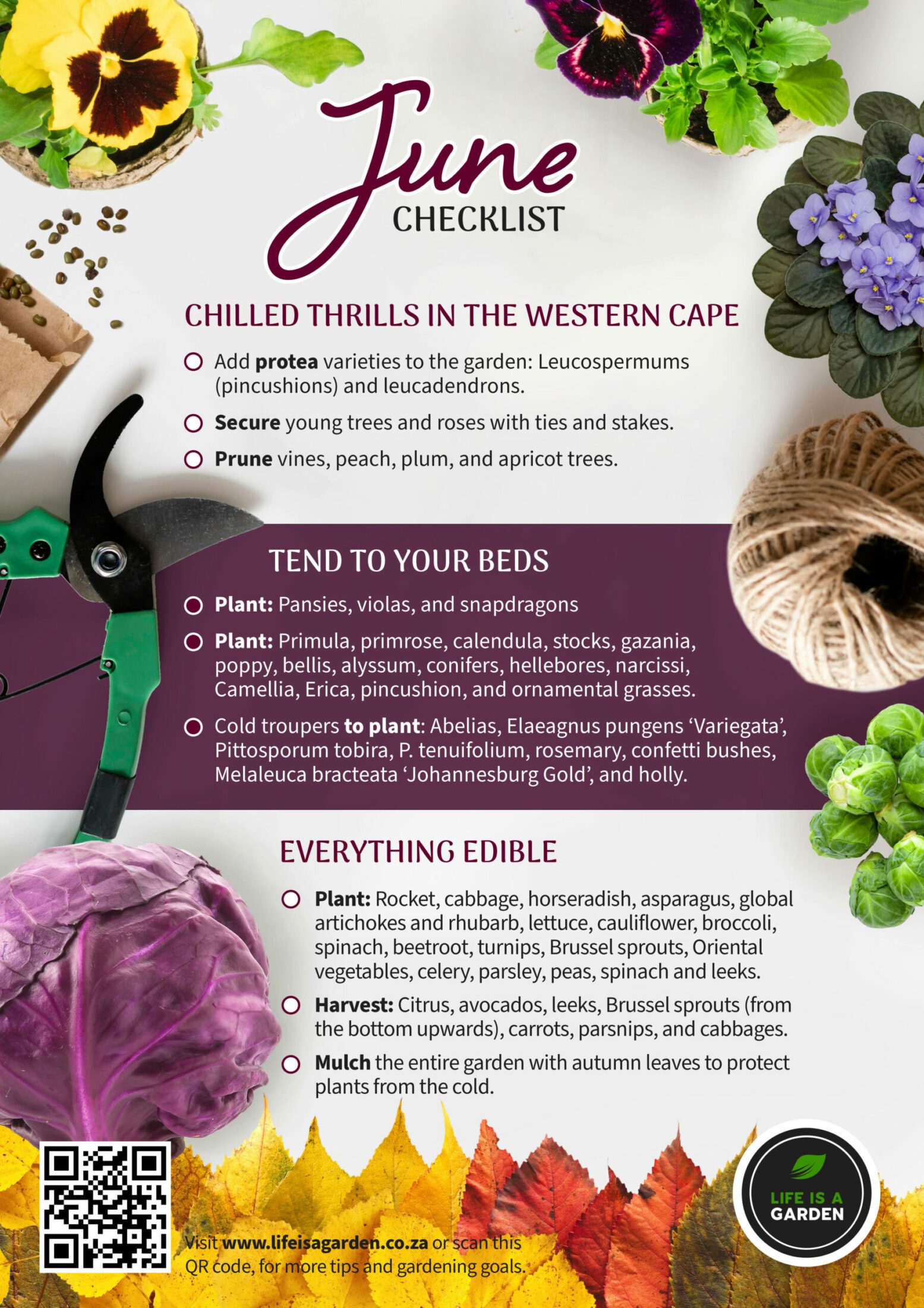 June Checklist - Life is a Garden