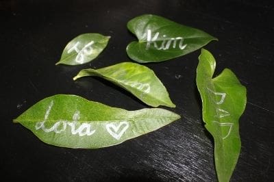 Leaf seater