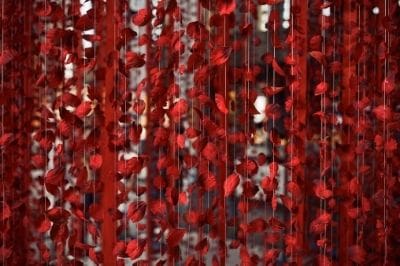 Flower screen