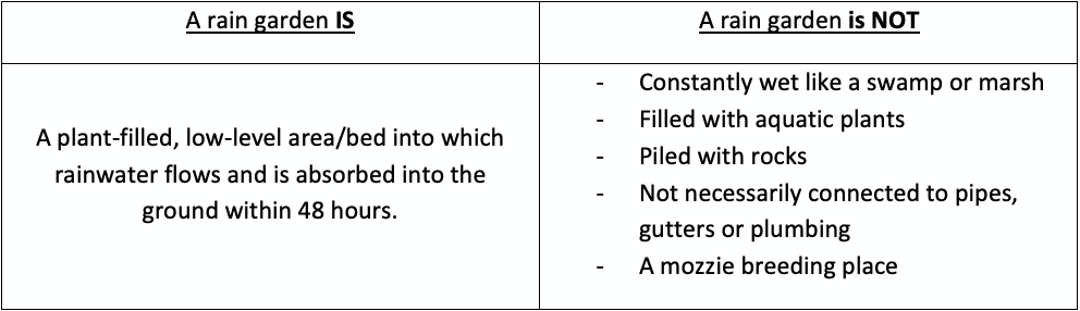 Rain garden do's and don'ts