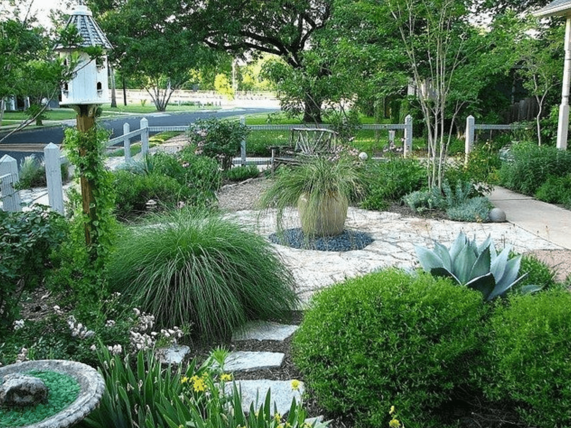 October, Life is a garden, xeriscaping, cacti, water wise, rocks, stones, pebbles, plants, greenery, garden, gardening, succulents, backyard, spring, summer, decorative gardening, landscaping