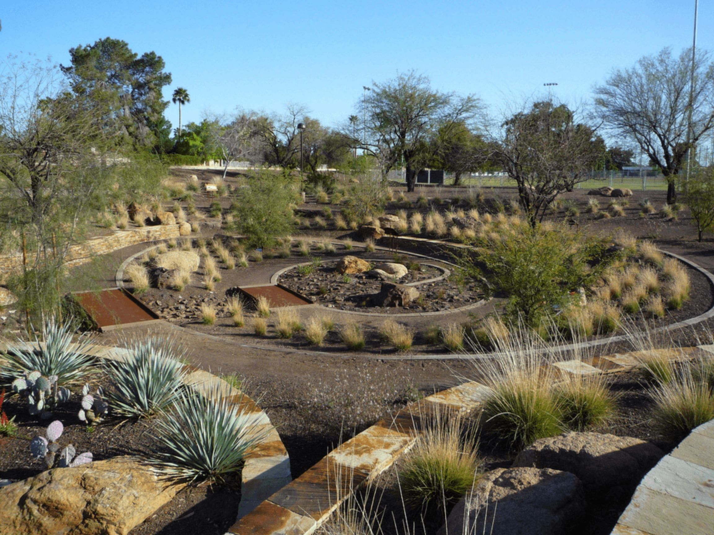 October, Life is a garden, xeriscaping, cacti, water wise, rocks, stones, pebbles, plants, greenery, garden, gardening, succulents, backyard, spring, summer, decorative gardening, landscaping, botanical boss