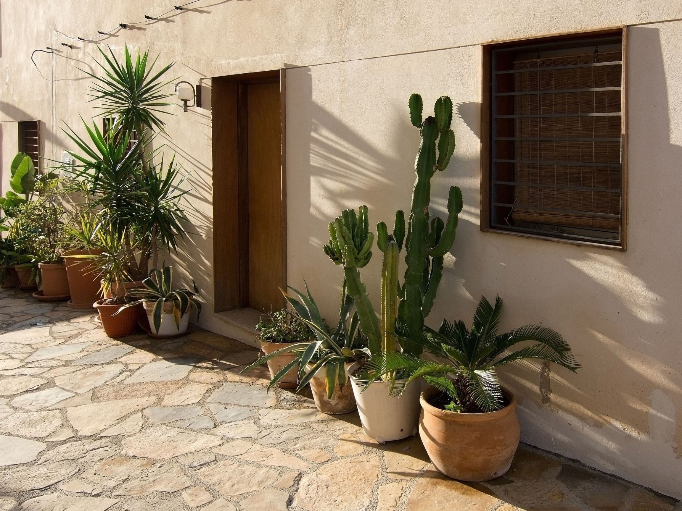 patios, stoep, life is a garden, October, garden, gardening, colour, flowers, beauty, greenery, creativity, outdoors, spring