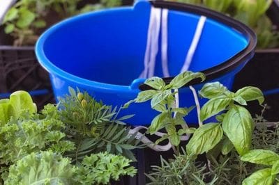 botanical boss, aloe, plant parenting, sel watering, greenery, life is a garden, gardening, colours, plants, DIY, watering,upcycling, water, growing, hack