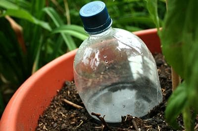 botanical boss, aloe, plant parenting, sel watering, greenery, life is a garden, gardening, colours, plants, DIY, watering,upcycling, water, growing, hack