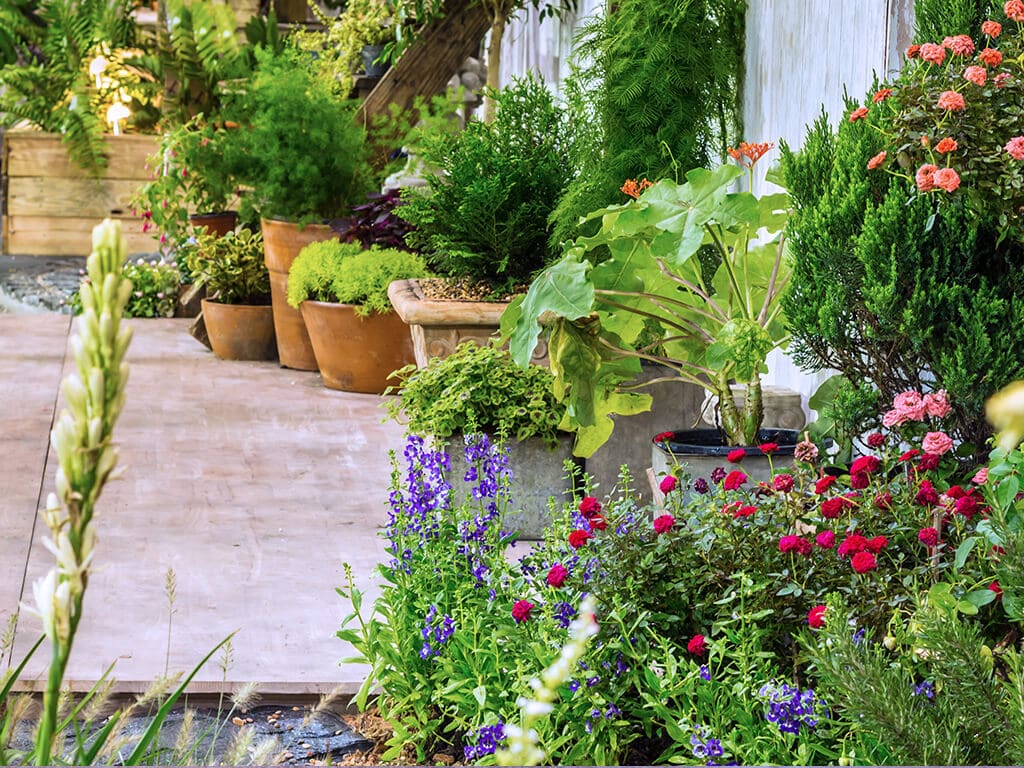 Your Home Is Begging For These Patio Plants Life Is A Garden
